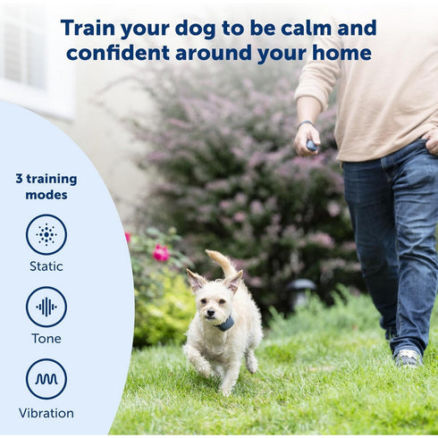 PetSafe 100 Yard Lite Remote Trainer Collar Small Medium - Poudre Pet & Feed Supply 2